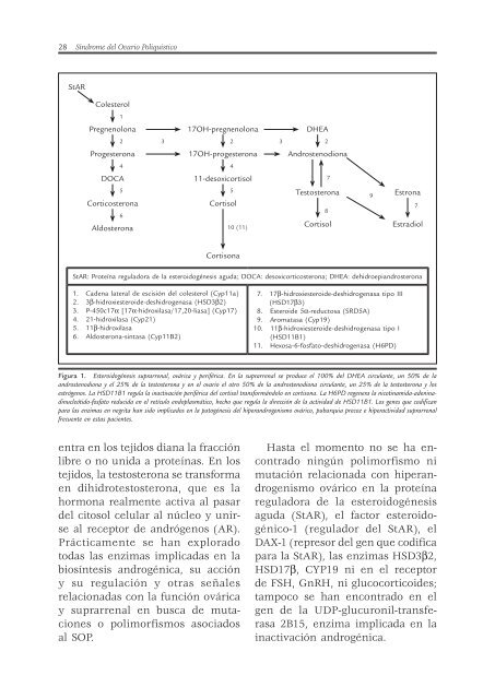 Sindrome.del.Ovario.Poliquistico