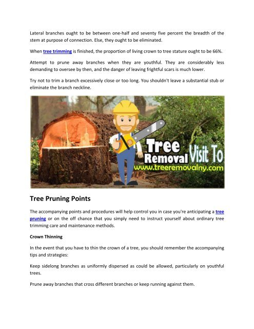 Tree removal service Nassau County NY