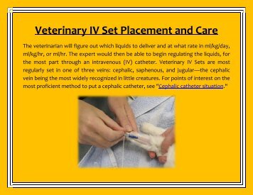 Veterinary IV Set Placement and Care