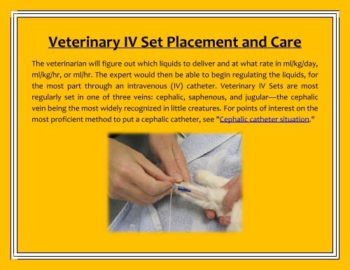 Veterinary IV Set Placement and Care