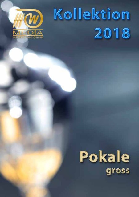 Sportpreise 2018 - Pokale gross - 3W-Media Marketing GmbH