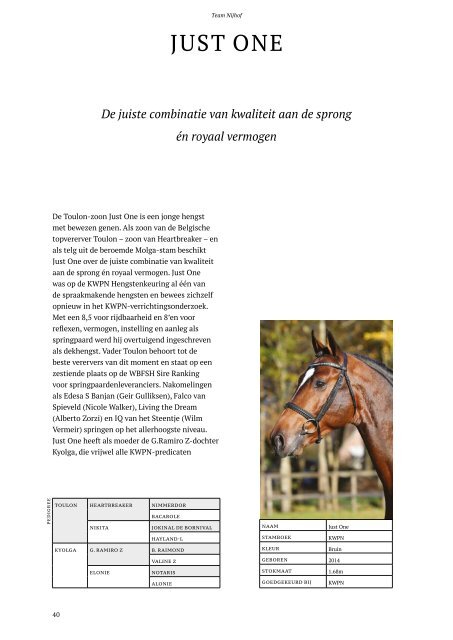 Hengstenbrochure Nijhof - Nederlands