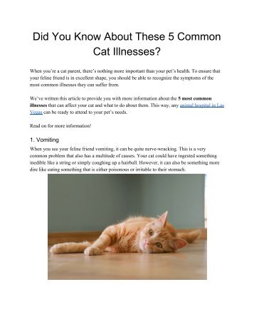 Did You Know About These 5 Common Cat Illnesses_