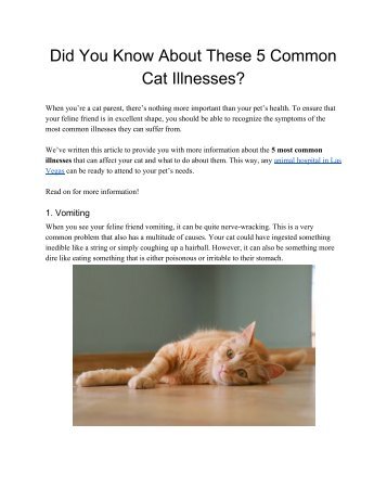 Did You Know About These 5 Common Cat Illnesses