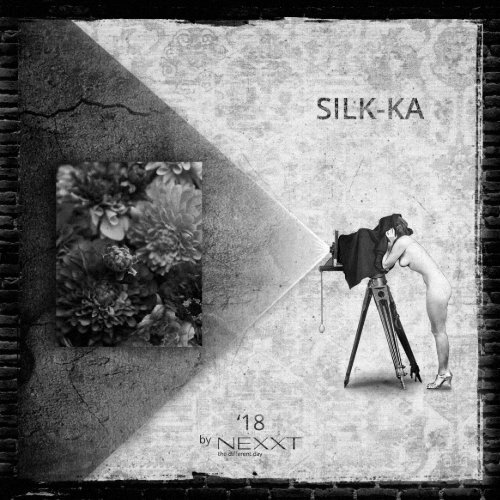 SILKA 2018