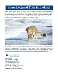 Snow Leopard Trek in Ladakh