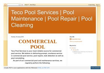 teco pool services-pool maintenance-pool repair-pool cleaning-pool renovation