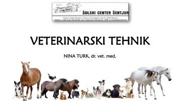 Predstavitev veterinarski tehnik 