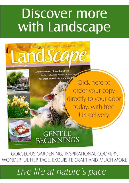 LandScape FREE Digital Sampler