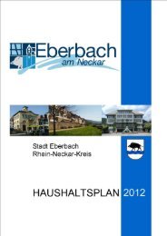 Haushaltsplan 2012 - Stadt Eberbach