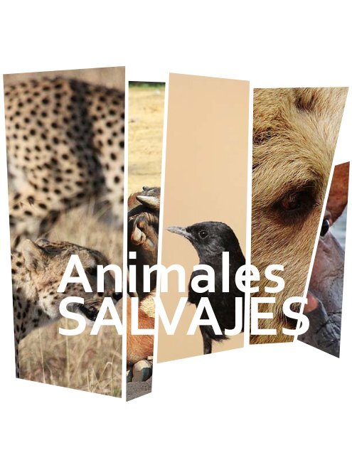 Animales Salvajes