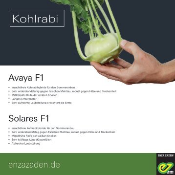 Leaflet Kohlrabi 2018