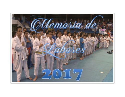 Memoria de Labores 2017