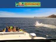 Private boat charters