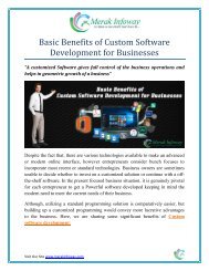 Basic Benefits of Custom Software Development for Businesses