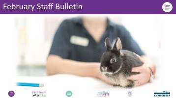 Staff Bulletin