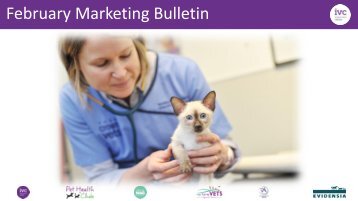 Marketing Bulletin