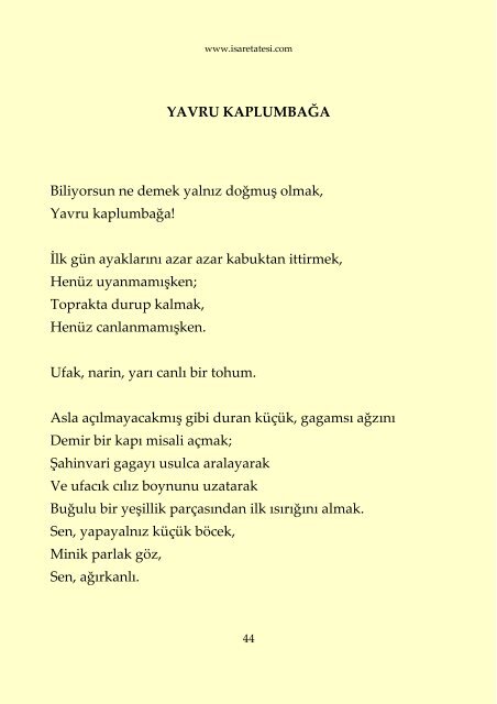 D. H. Lawrence - İnsanlar ve Öteki Yaratıklar