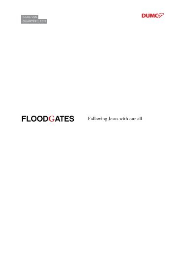 Floodgates.visual.6.FA