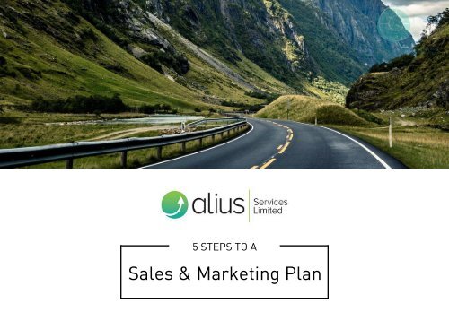 Alius- 5 Steps to a Sales & Marketing Plan