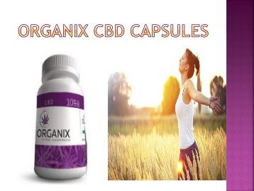  Organix CBD Capsules - Feel Refresh & Energetic