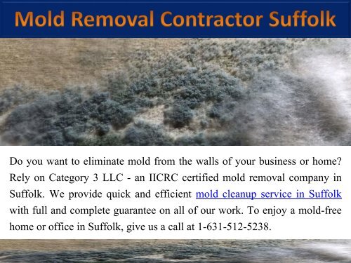 Mold Removal Contractor Suffolk