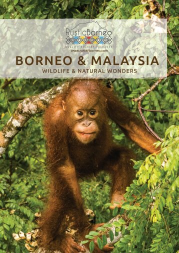 Borneo & Malaysia - Wildlife and Natural V.2