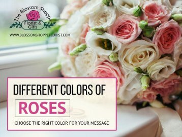 Boynton Beach Florist Explains “Different Colors of Roses”