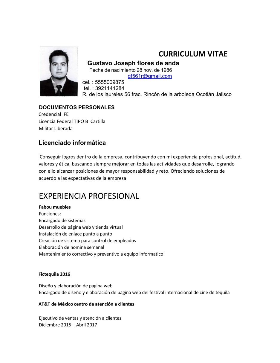 Curriculum vitae informatico 06 image