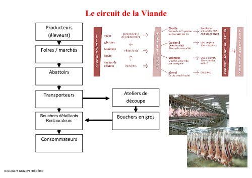 Les Viandes de Boucherie