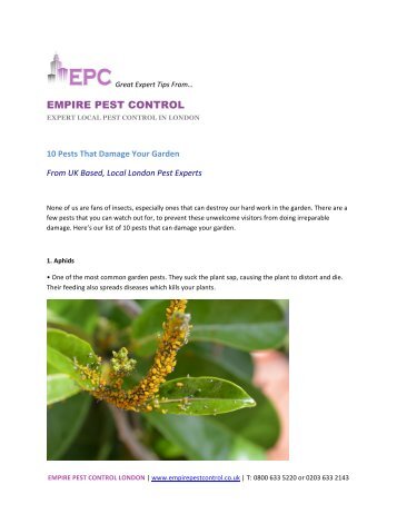 Top Tips For Garden Pest Extermination From The Experts Empire Ltd