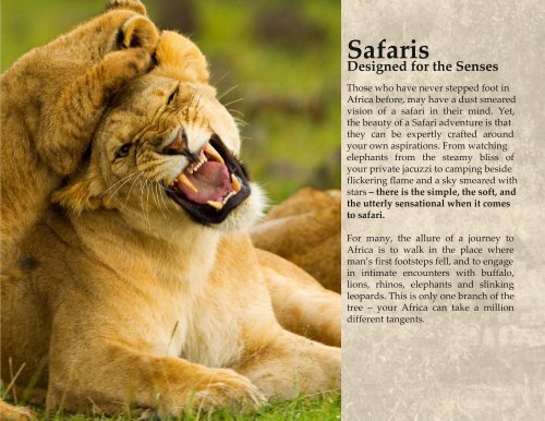 African Safari Guide Part1