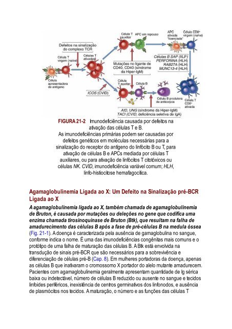 Abbas 8ed - Imunologia Celular e Molecular 