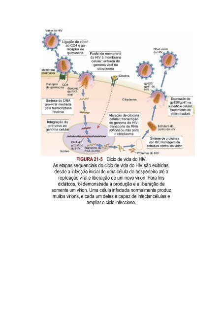 Abbas 8ed - Imunologia Celular e Molecular 