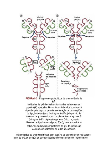 Abbas 8ed - Imunologia Celular e Molecular 