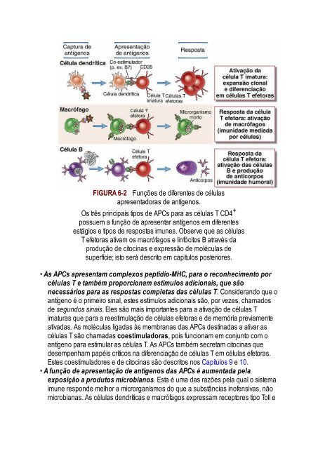 Abbas 8ed - Imunologia Celular e Molecular 