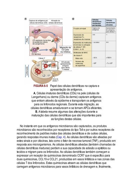 Abbas 8ed - Imunologia Celular e Molecular 