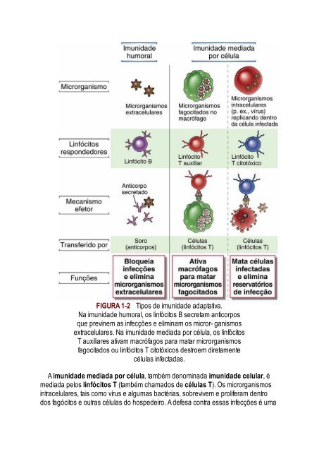 Abbas 8ed - Imunologia Celular e Molecular 