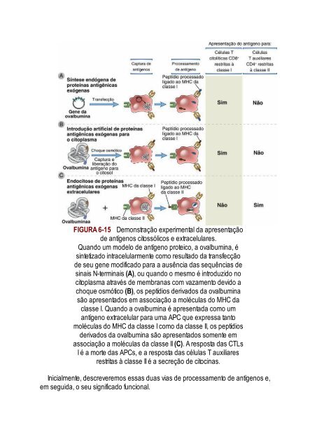 Abbas 8ed - Imunologia Celular e Molecular 