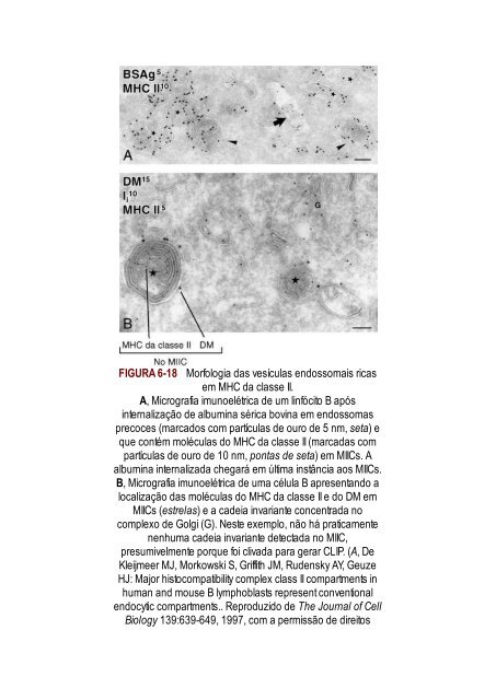 Abbas 8ed - Imunologia Celular e Molecular 