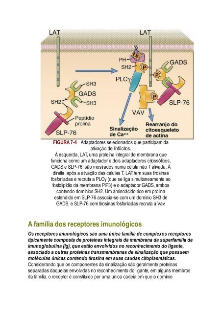 Abbas 8ed - Imunologia Celular e Molecular 