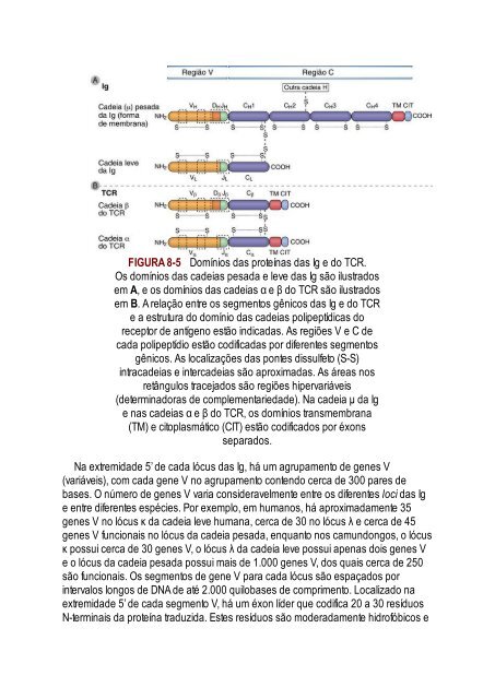 Abbas 8ed - Imunologia Celular e Molecular 