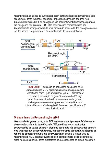 Abbas 8ed - Imunologia Celular e Molecular 