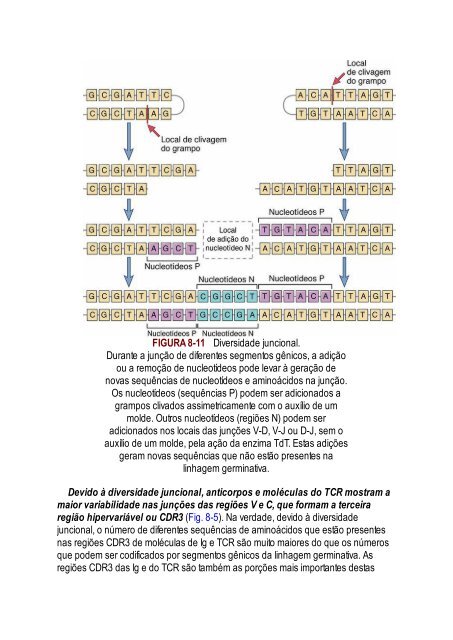 Abbas 8ed - Imunologia Celular e Molecular 