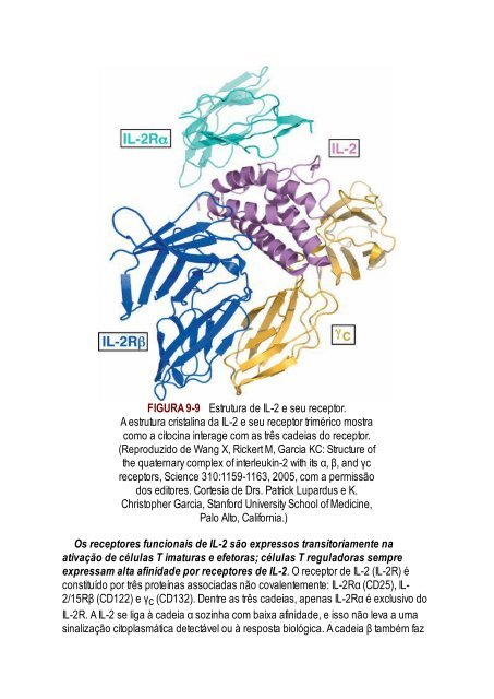 Abbas 8ed - Imunologia Celular e Molecular 