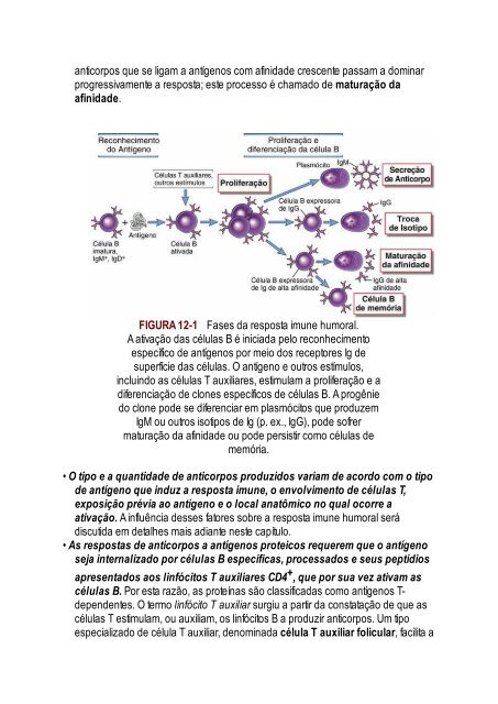 Abbas 8ed - Imunologia Celular e Molecular 