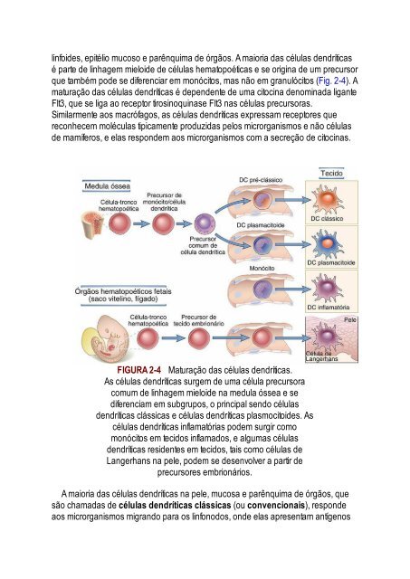 Abbas 8ed - Imunologia Celular e Molecular 