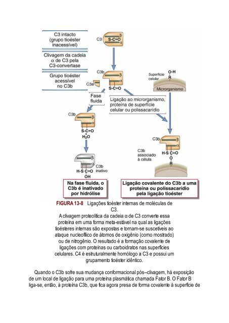 Abbas 8ed - Imunologia Celular e Molecular 