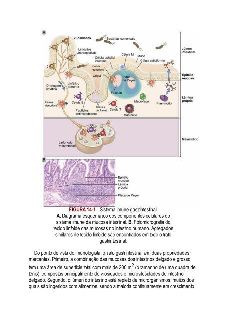 Abbas 8ed - Imunologia Celular e Molecular 