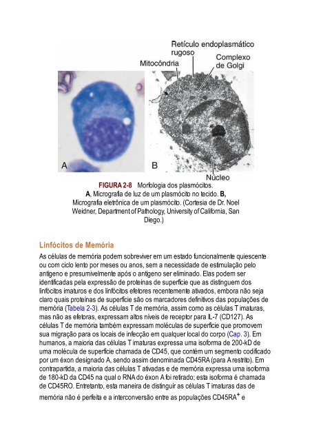 Abbas 8ed - Imunologia Celular e Molecular 